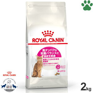 y16z[Ki] CJi@LhC@veC@GNVWFg@2kg^pNȉh{oXŐH~h@Hɂ肪鐬Lp(12`12)@GNVWFg42@h