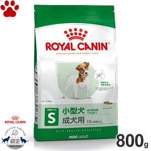 y9z[Ki] CJi@hC@~j@A_g@800g^̐p(10ȏ)@hCt[h@hbOt[h@CJi@S@SHN