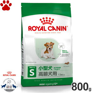 y9z[Ki] CJi@hC@~j@GCWO 12+@800g^̍p(12Έȏ)@+12@hCt[h@hbOt[h@CJi@S@SHN