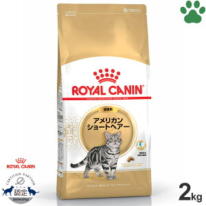 y16z [Ki] CJi@LhC@AJV[gwA[@Lp(12`12)@2kghCt[h@Lbgt[h@CJi@FBN