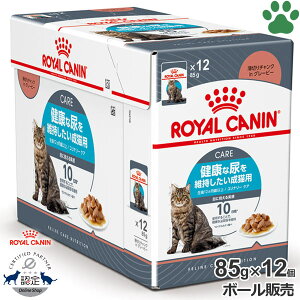 y11z [{[][Ki] CJi@LpE`@i[PA@85g × 12NȔAێLp(12ȏ)@AH΁@A@`NinO[r[@EFbgt[h@