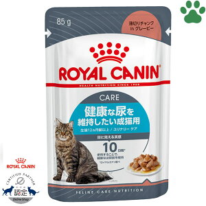 y2z [Ki] CJi@LpE`@i[PA@85gNȔAێLp(12ȏ)@AH΁@A@`NinO[r[@EFbgt[h@Lbgt[h