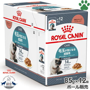 y11z [{[][Ki] CJi@LpE`@wA{[PA@85g × 12ыʂCɂȂ鐬Lp(12ȏ)@ыǁ@ыʁ@CeXwA{[@`NinO[r[@EF