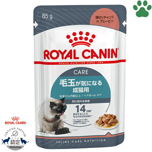 y2z [Ki] CJi@LpE`@wA{[PA@85gыʂCɂȂ鐬Lp(12ȏ)@ыǁ@ыʁ@CeXwA{[@`NinO[r[@EFbgt[h@L