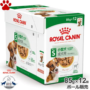 y11z [{[][Ki] CJi@pE`@~j@A_g@85g × 12^̐p(10`8)@`NinO[r[@EFbgt[h@hbOt[h@CJi@S@SHN@