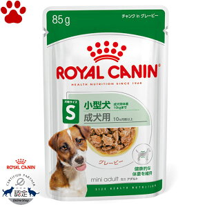 y2z [Ki] CJi@pE`@~j@A_g@85g^̐p(10`8)@`NinO[r[@EFbgt[h@hbOt[h@CJi@S@SHN