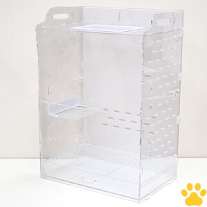 y0z GEX@AN[@III@500HightNK/fO[pP[W@Xe[Wt@C[lbgt@@IV@킢@Vv@NA@@nC^Cv@P[