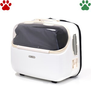 y0z GEX@OSOTO@VFtB[@Wide@~N4WAY@5kgȉ@Lp@p@Lp@yʁ@RpNg@bN@L[P[X@L[obO@I\gL[@IV@킢