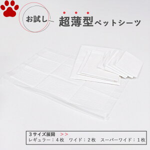 y0z ̔ / ^@ybgV[c@M[@4@Ch@2@X[p[Ch@1ybgV[g gCV[c gCV[g ybgpV[c