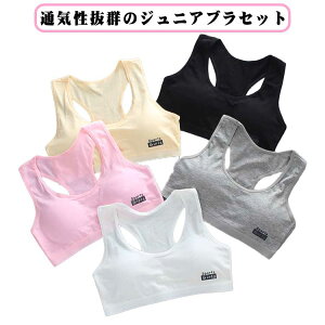 ̎q X|[cu X|u w X|[cu w LbY iCgu WjA t@Xgu K X|[cuW[ q mC[ 킢 WjAu n[tgbv u