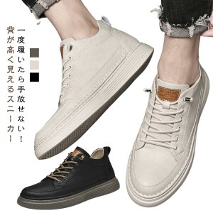 6cm V[NbgV[Y 8cmgUP Xj[J[  rWlXXj[J[ X|[c rWlXV[Y ʋ amC V[Y JWAC C ʊw Xj[J[ ^C wȂ gA