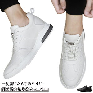 Xj[J[ Y rWlXXj[J[ 6cm 8cmgUP amC JWAC V[Y  C V[NbgV[Y V[NbgV[Y X|[c ʋ ʊw ^C wȂ gA