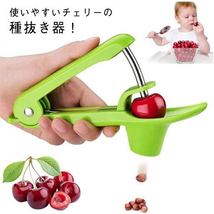 `F[Xg[i[ ^l I[uXgi[ TN{ I[u   `F[̎픲 ic `F[sb^[ g₷ `F[ Ƃ ڎ 