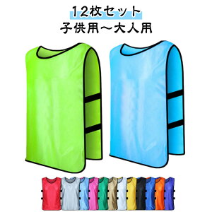 y12Zbgzqǂp lp ruX [bP TbJ[ oXP tbgT wZ s  ^ w WjA n uF LbY qǂ ruX tbgT 싅 \tg{[ O