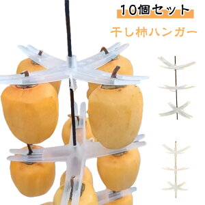 y10Zbgz` nK[ ʂ̊`ƂƂĂȒPɁI`݂邵 `nK[ `Nbv Nbv ` pi `80  ݂邷  