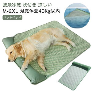  xbh ėp ybgxbg ڐG⊴  q  VjA V ^ ^ ^ N[}bg ybgpi Ђ}bg Lpp ⊴}bg N[V[g  MǑ