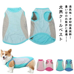 S-M   N[ EFA G炵  G炷 bV ⊴ Ђ u p CM  ĕ ^ ^ ^Ngbv ybgEFA p xXg N[xXg MǑ΍ 
