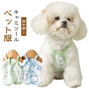  L  L t  ĕ wJ ₷  ⊴ N[ Ђ w ̕ L̕ Lp p wJL~\[ o  m hbOEFA ybg TT