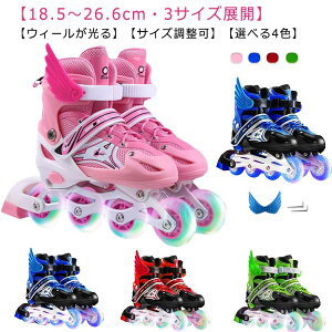 WjA [[XP[g ʋCQ SҌ qp CCV[Y [[ [[u[h ̎q j̎q 蕨 ϋv CCXP[g S É SEB C