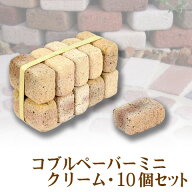 ミニレンガ　コブルペーバーミニ・クリーム　10個入 【送料別/3】[煉瓦 ガーデニング DIY れんが 敷材 昭…