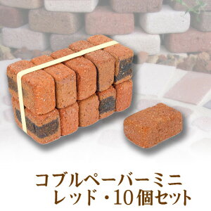 ~jK@Ruy[o[~jEbh@10 y/3z[ K[fjO DIY  ~  Ԓd  Y ]