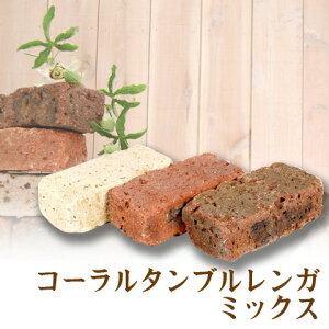 ÂEK[fjOpi@R[^uKE~bNXy/9z[K[fjO  Ԓd ~ DIY 킢  ]