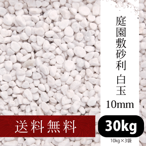 뉀~ 10mm 10kg×3܁yz[a/m/ʍ/ފ//W]