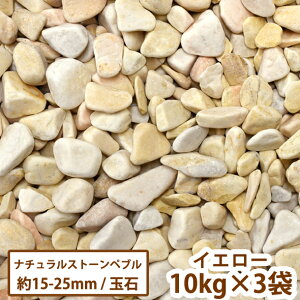 i`Xg[yu(CG[)@10kg×3܁yz[ K[f  K[fjO W  킢 ʍ ʐ jyari  m Y ]