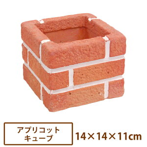 v`v^[EAvRbgL[uy/6z[ Ԓd K[f ubN RN[g d؂ 킢 K[fjO Y]