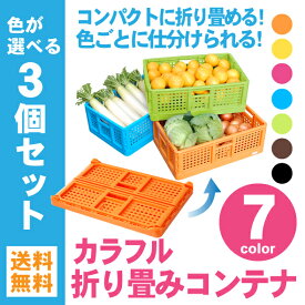 【送料無料】カラフル折り畳みコンテナ～選べる3個セット～　[ 折りコン 収納 収穫 農業 出荷 片付 整理 ]