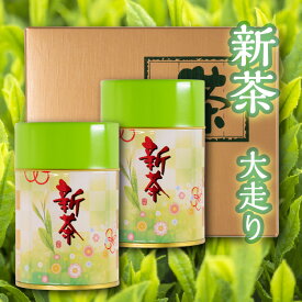 【大走り新茶｜100g 2本缶入り】静岡県産・お茶・ギフト・プレゼント・セット・詰め合わせ・母の日ギフト　2024年