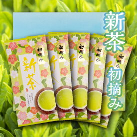 【初摘み新茶｜100g 5本箱入り】静岡県産・お茶・ギフト・プレゼント・セット・詰め合わせ　2024年