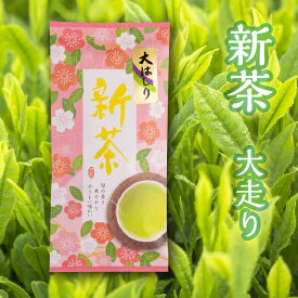 【大走り新茶｜100g】静岡県産・お茶・ギフト・プレゼント・高級　2024年