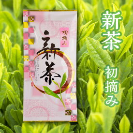 【初摘み新茶100g】静岡県産富士宮市｜お茶　2023年
