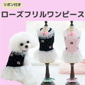 [Yts[Xy/hbOEFA///t/EFA///ybgz