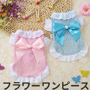 t[s[Xy/hbOEFA///t/EFA///ybg/N[/̎qz