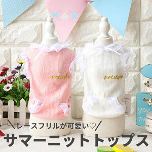 T}[jbggbvXy/hbOEFA///t/EFA///ybgzyT}[jbg/N[/Vvz