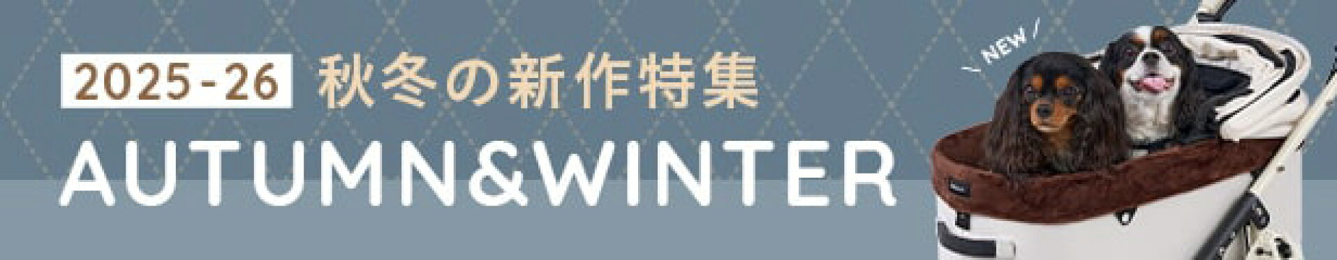 秋冬の新作特集