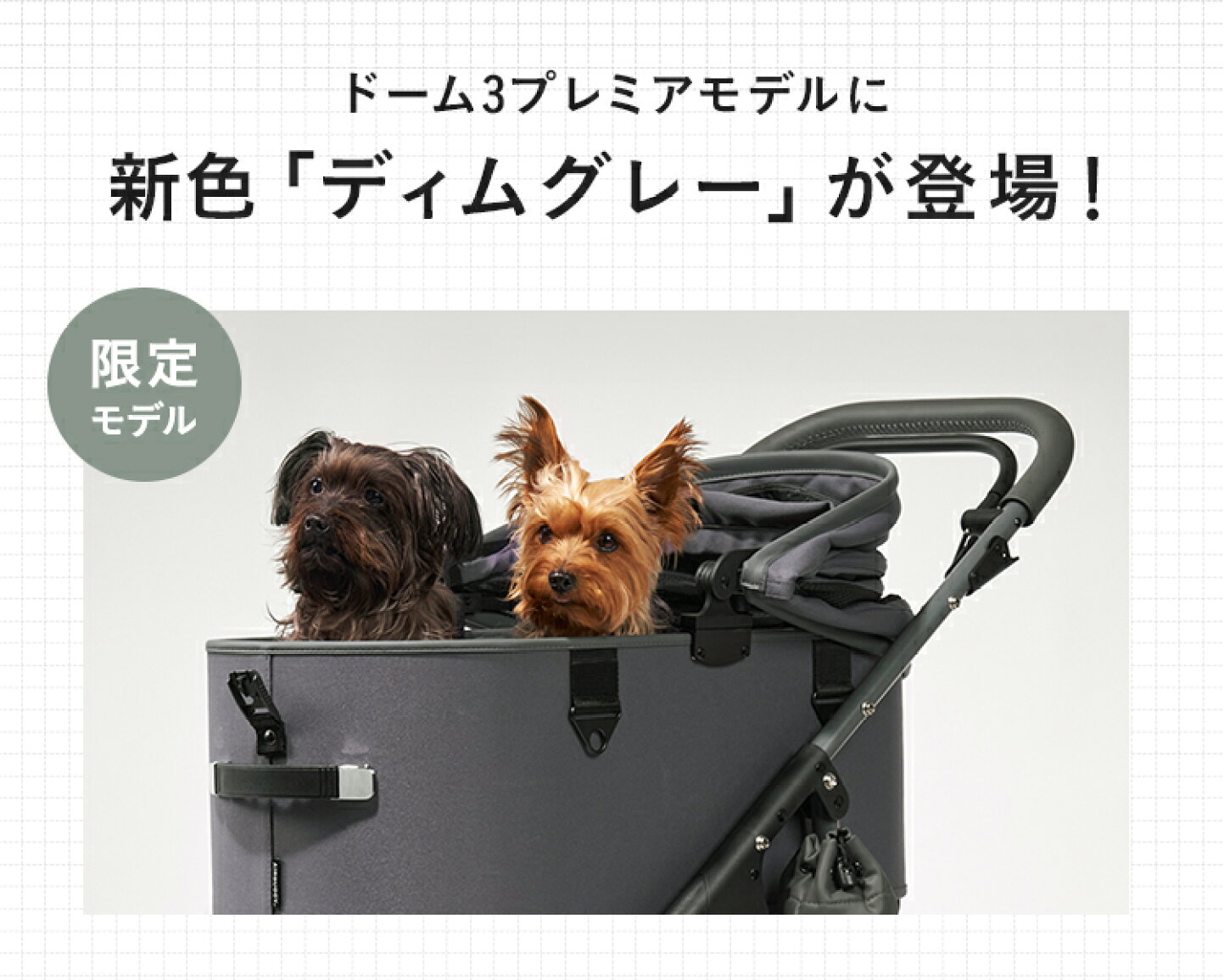 楽天市場 | エアバギーペット公式 楽天市場店 - 2024-25秋冬ペット新 