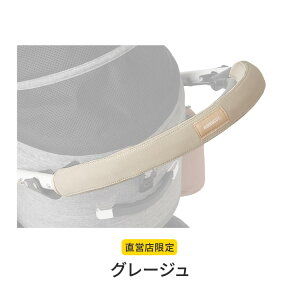 yGAoM[zAIRBUGGY p o[Jo[[h~ 􂦂 ybgJ[g nh Jo[ h[ DOME IvV Jo[][M 1/1]