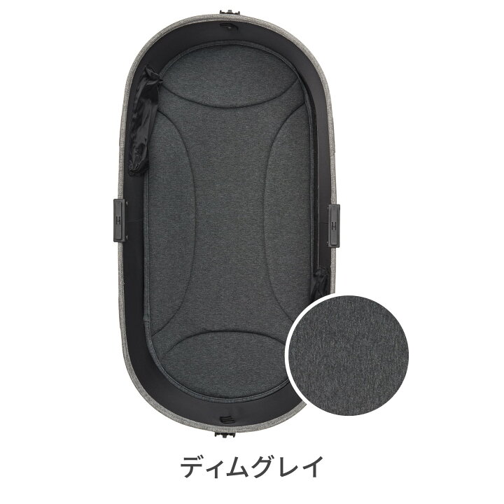 楽天市場】【エアバギー公式】AIRBUGGY ドーム3 ラージ / ドーム2 M 