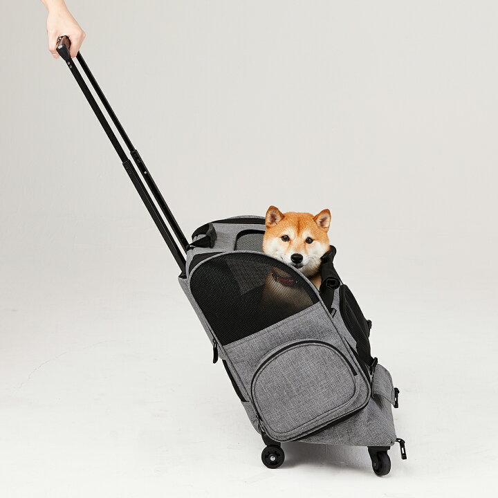 楽天市場】メーカー直営 エアバギーフィット 耐荷重10kg[公式直営 