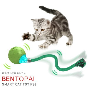 xgp P36 pp[ct[L d ^s XgXU ЂƂV ybgߋ L炵  Mtg BENTOPAL SMART CAT TOY]