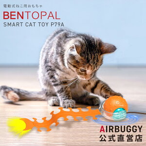 xgp P79A pp[ct[ ̂ L d ^s XgXU ЂƂV ybgߋ L炵  Mtg BENTOPAL SMART CAT TOY ˂̂ Lb