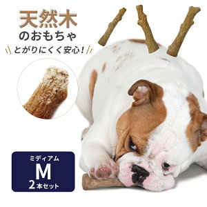 EbfB[E^tEXeBbN ybgXe[W (Petstages)/VR؂̃piMTCYj2{Zbg[VR   gC ybggC   J~J~ ybgXe[W _bh