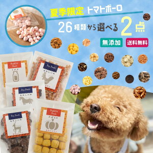 無添加 クッキー ギフト ドッグフードの人気商品 通販 価格比較 価格 Com