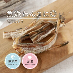   Y  ۊ kC^  50g  L L ^ p Lp  g[c     Ic  hbNt[h  ӂ肩 gbsO 育͂ 