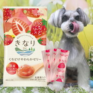 犬用ゼリー きなり くちどけやわらかゼリー いちご 5g×10本 犬 おやつ 無添加 国産 犬 トッピング 犬用…