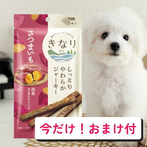 yI܂tz   W[L[ | Ȃ Ƃ炩W[L[ ܂ |  W[L[ Y pIc hbOt[h pE` gbsO gg H V 