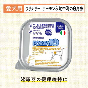 EGbgt[h  FORZA tHc@ ANeBEGbg Ei[ APA T[ g  hbNt[hH t h{H